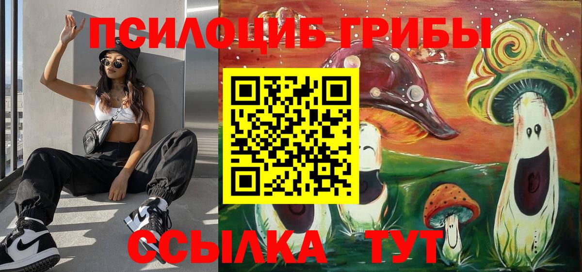 Гусь-Хрустальный  Псилоцибиновые грибы ЛСД  Псилоцибиновые грибы MAGIC MUSHROOMS  Вход с VPN 